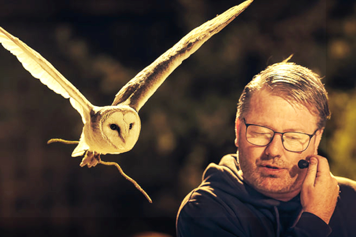 Book Event Owl Evening